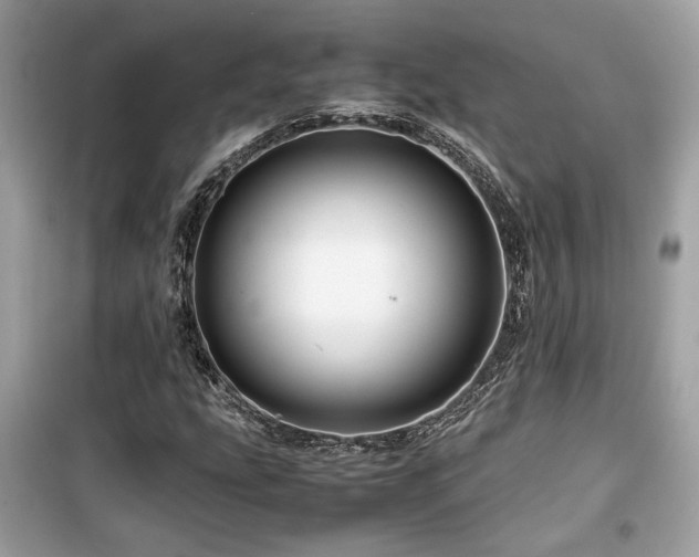 X0000099531207200805161203