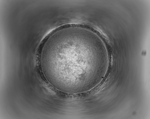 X0000099531208200805161203