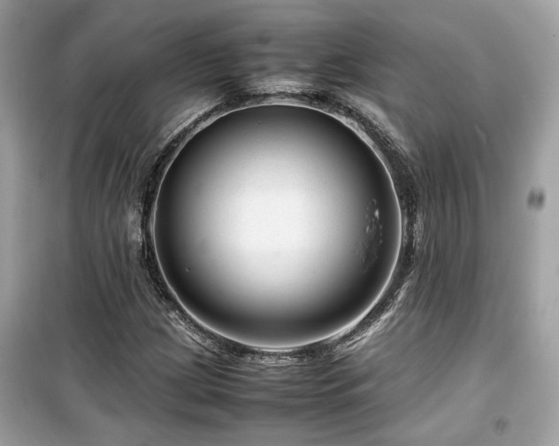 X0000099531209200805161203