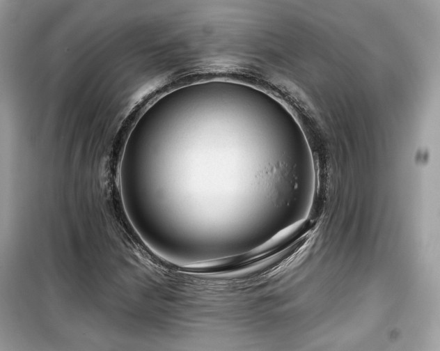 X0000099531210200805161203