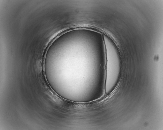 X0000099531212200805161203