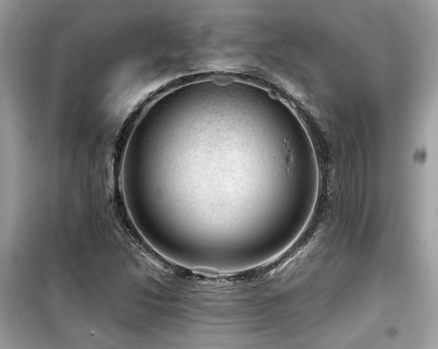 X0000099531214200805161203