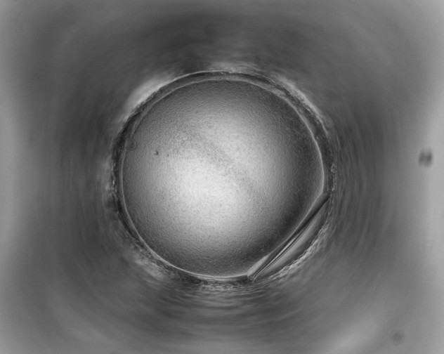 X0000099531215200805161203