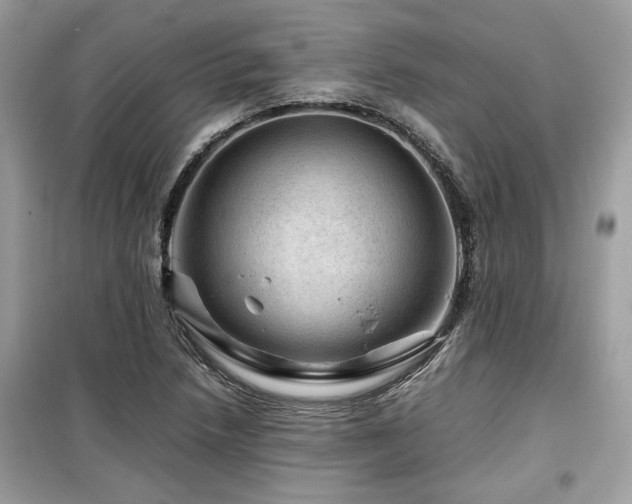 X0000099531218200805161203