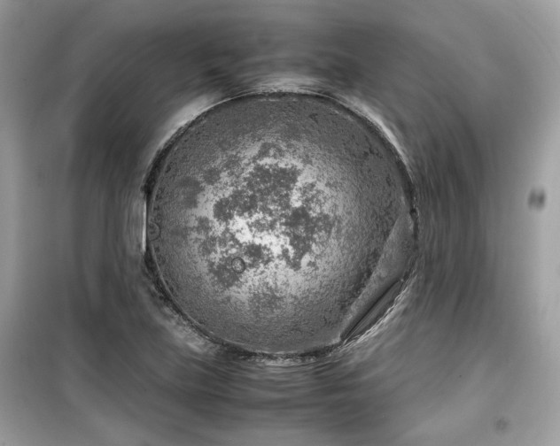 X0000099531219200805161203