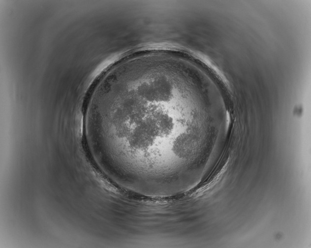 X0000099531221200805161203