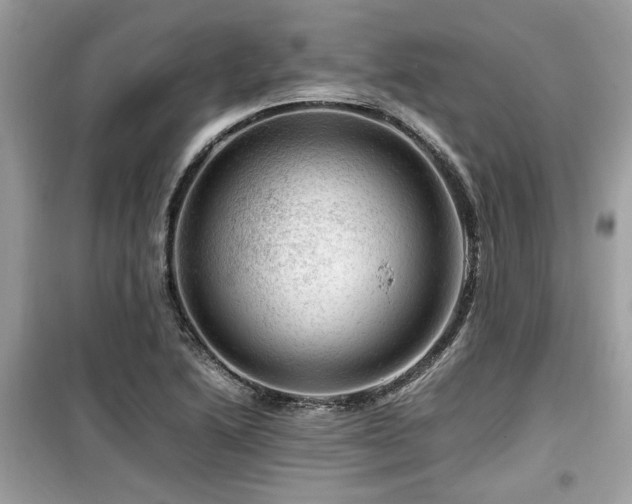 X0000099531222200805161203