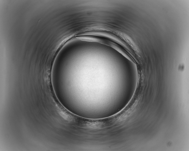 X0000099531225200805161203