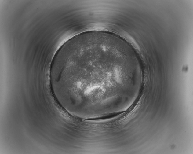 X0000099531226200805161203