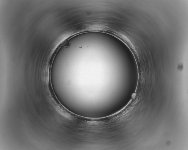 X0000099531227200805161203