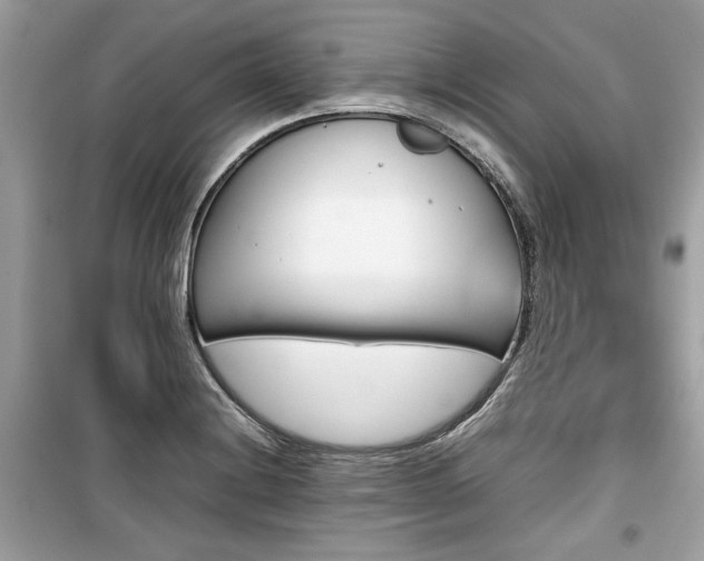 X0000099531228200805161203