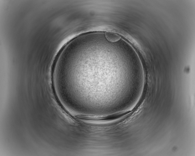 X0000099531230200805161203