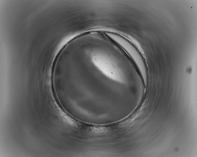X0000099531231200805161203