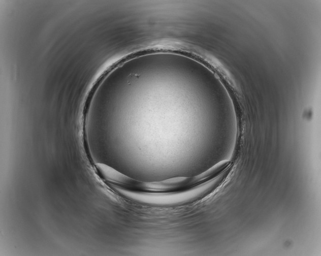 X0000099531232200805161203
