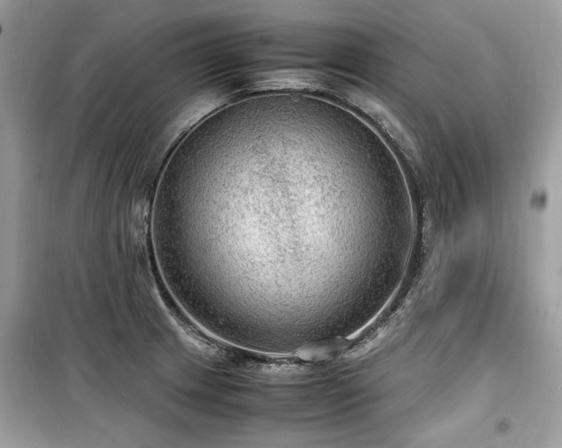 X0000099531233200805161203