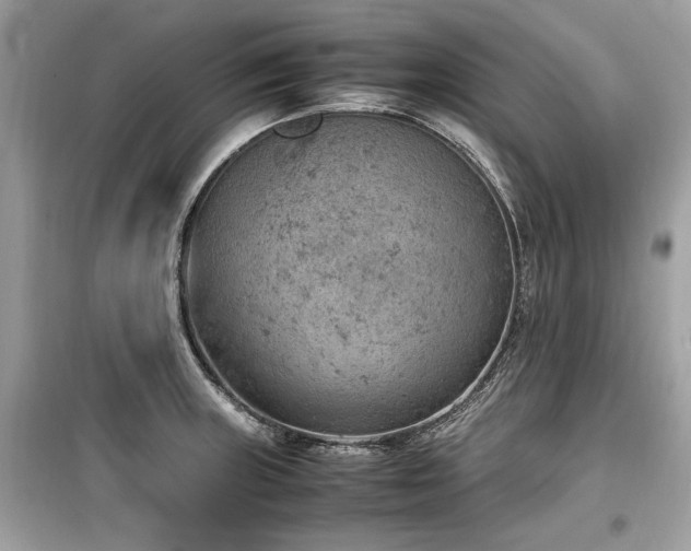 X0000099531235200805161203