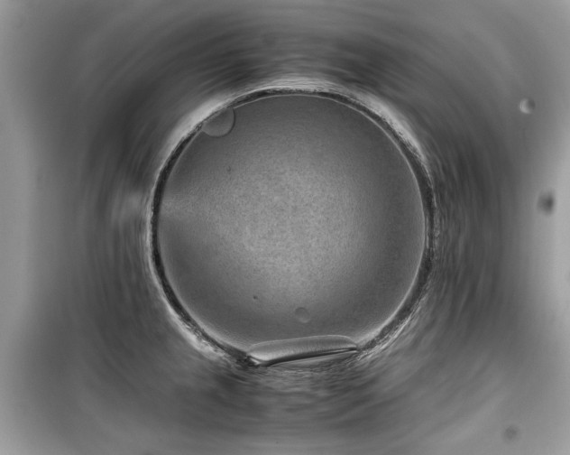 X0000099531237200805161203