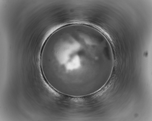 X0000099531239200805161203