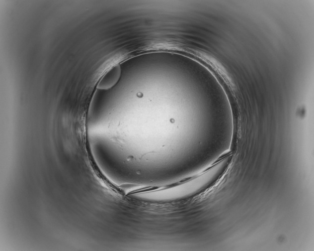 X0000099531241200805161203