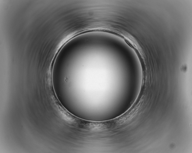 X0000099531242200805161203