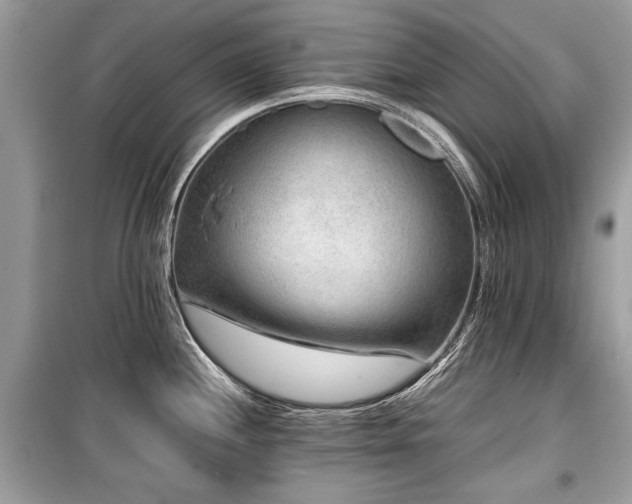 X0000099531244200805161203