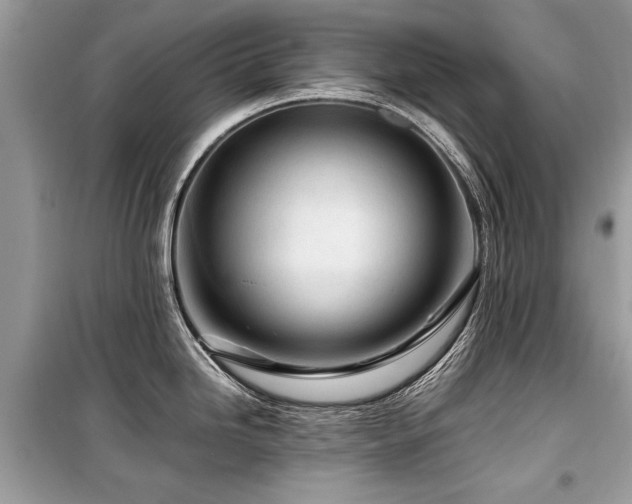 X0000099531246200805161203