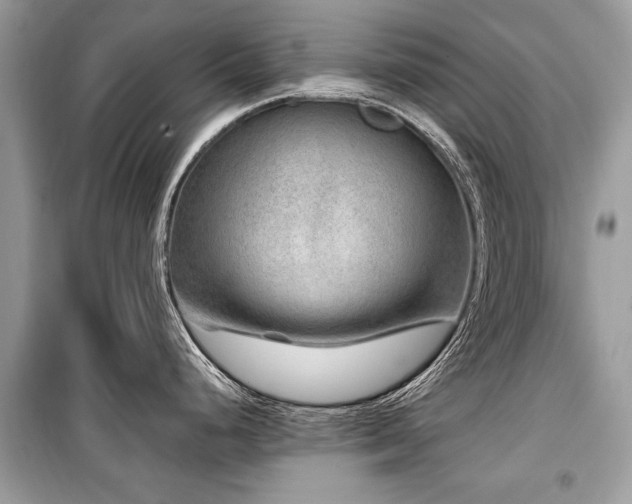 X0000099531248200805161203