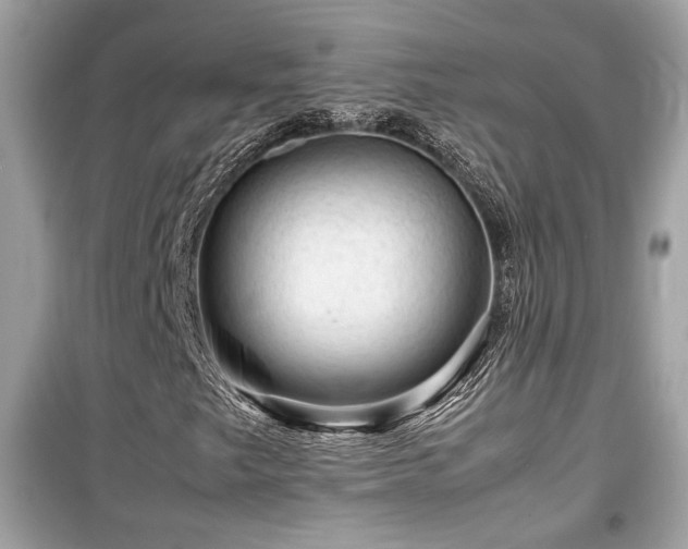 X0000099531249200805161203