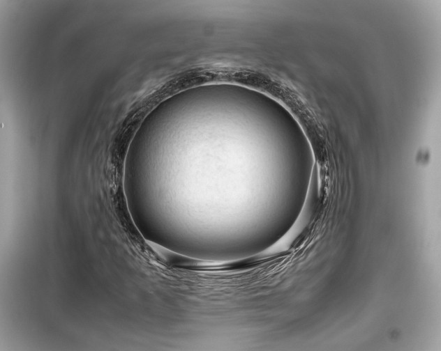X0000099531253200805161202