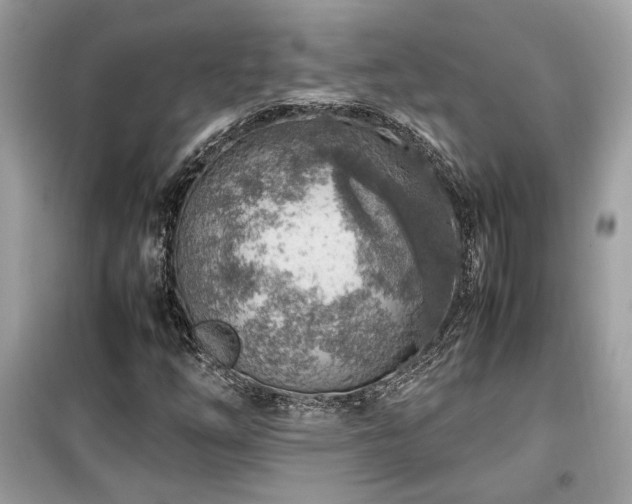 X0000099531254200805161202