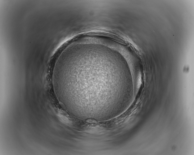 X0000099531256200805161202