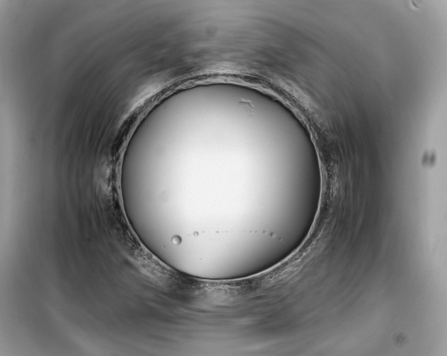 X0000099531258200805161202