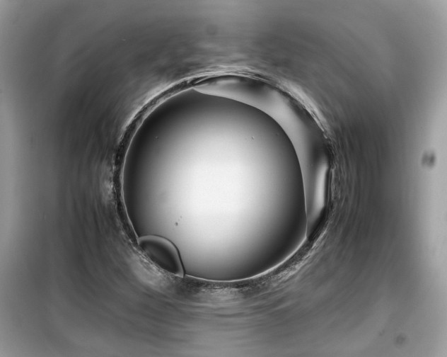 X0000099531260200805161202