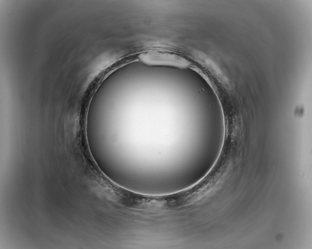 X0000099531261200805161202