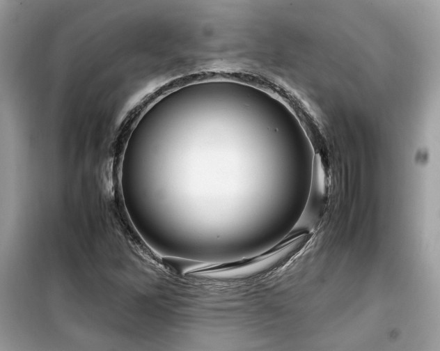 X0000099531262200805161202