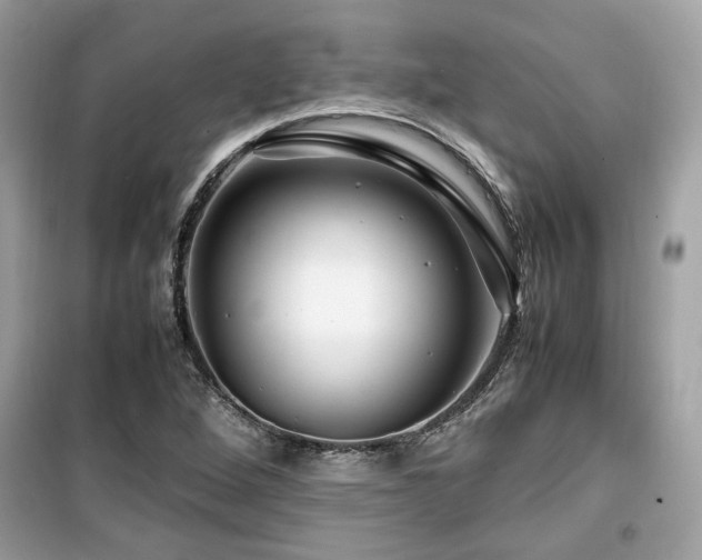 X0000099531264200805161202