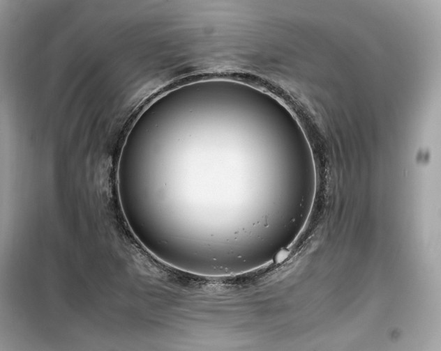 X0000099531265200805161202