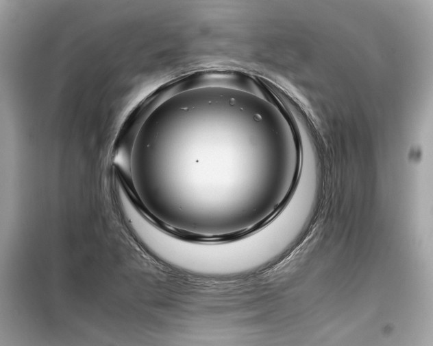 X0000099531269200805161202