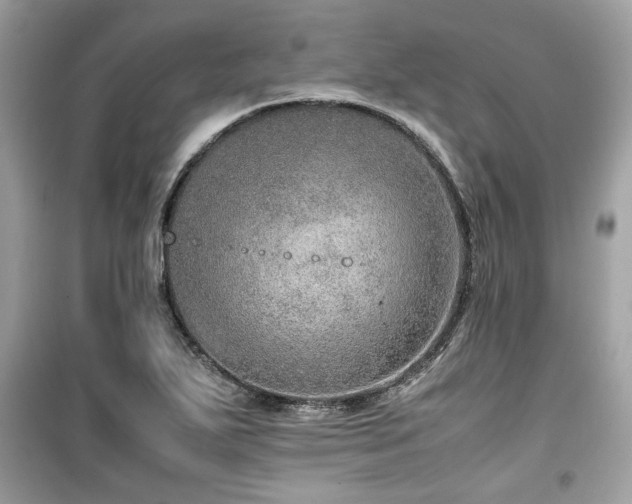 X0000099531271200805161202