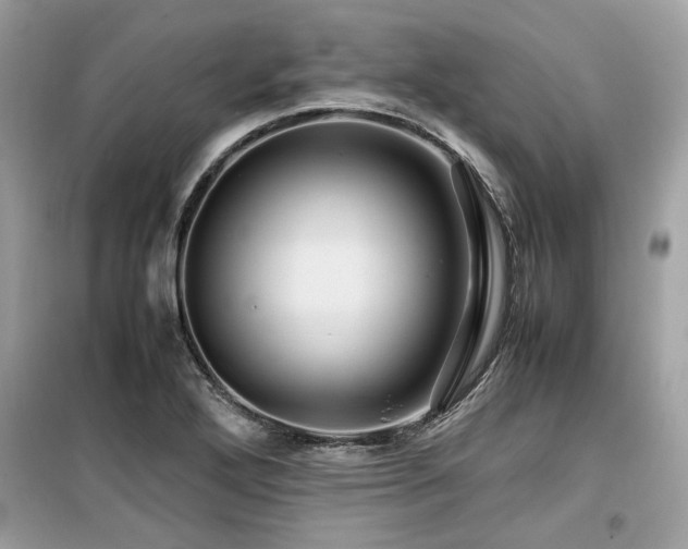 X0000099531272200805161202