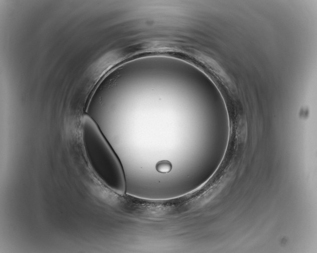 X0000099531273200805161202