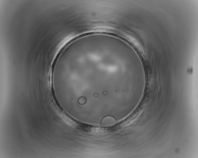 X0000099531275200805161202
