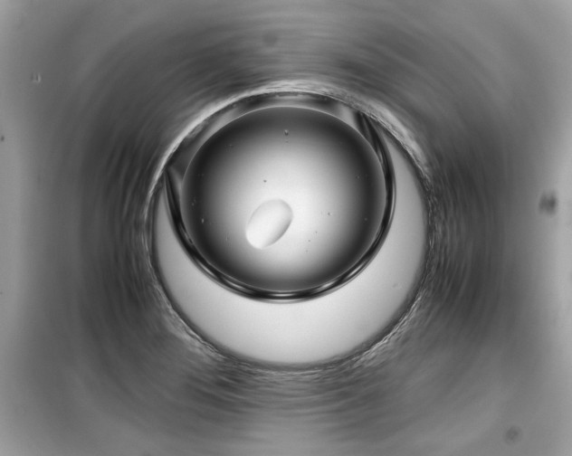 X0000099531276200805161202