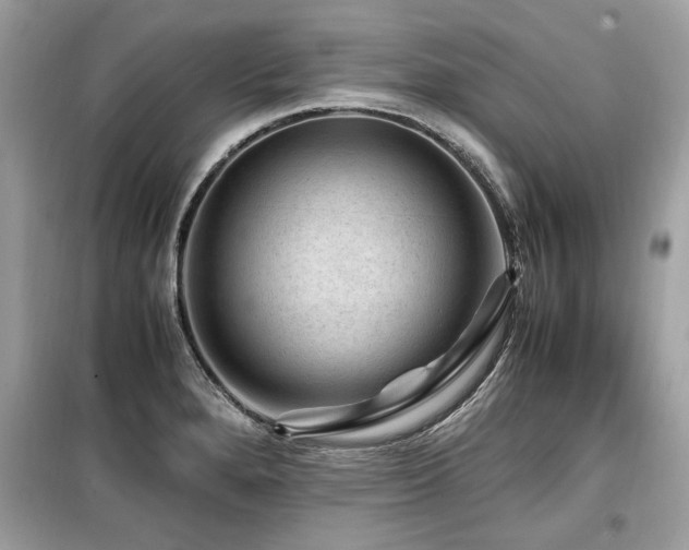 X0000099531280200805161202