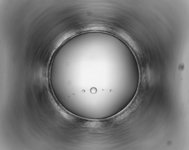 X0000099531282200805161202