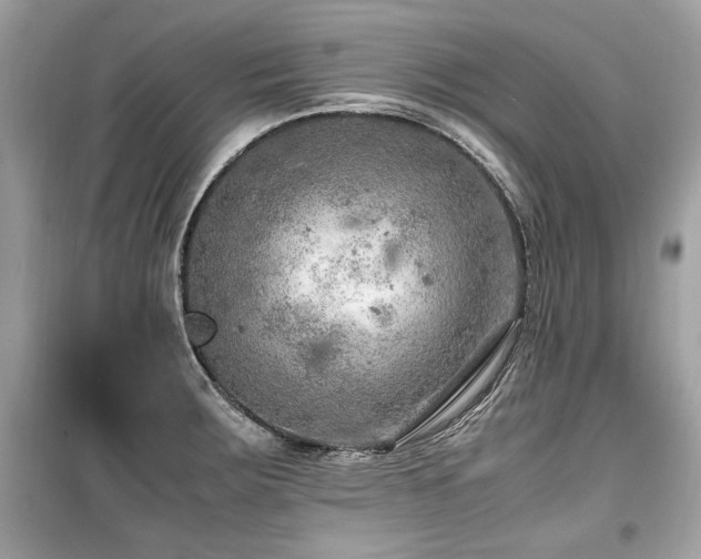 X0000099531283200805161202
