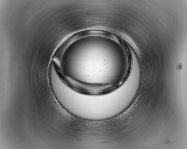X0000099531284200805161202