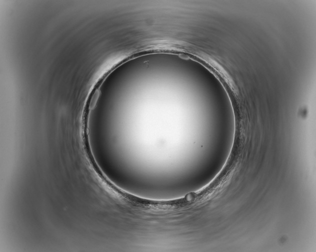 X0000099531285200805161202