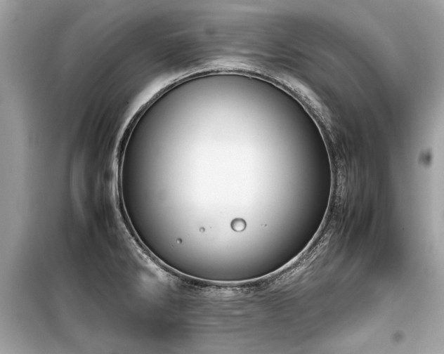 X0000099531286200805161202