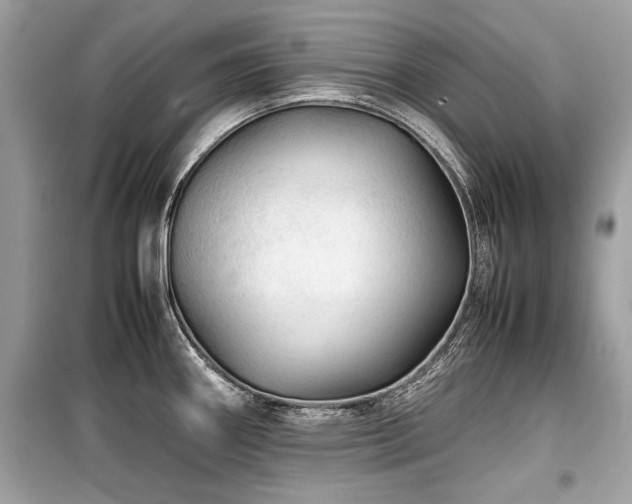 X0000099531290200805161202